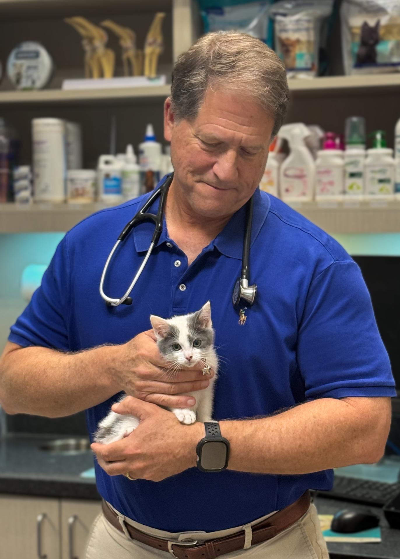 Dr. Johnson Kitten