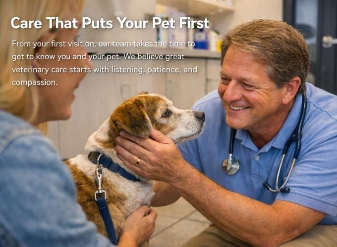 Care That Puts You First