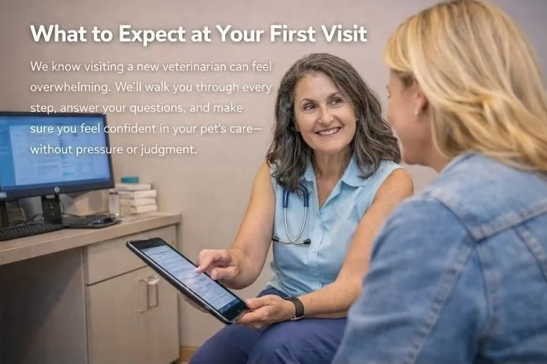 What to Expect